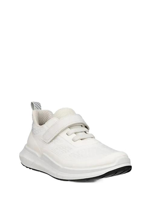 ECCO | Biom 2.2 K | 27