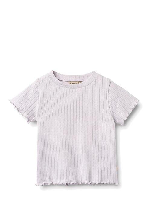 Wheat | Rib T-Shirt S/S Irene | 128
