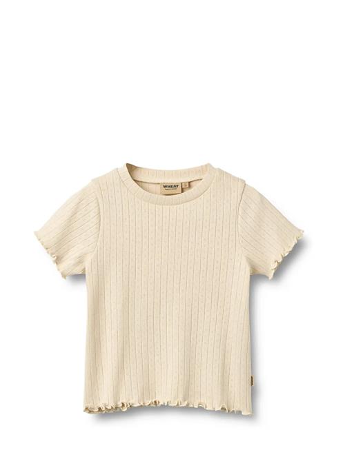 Wheat | Rib T-Shirt S/S Irene | 116