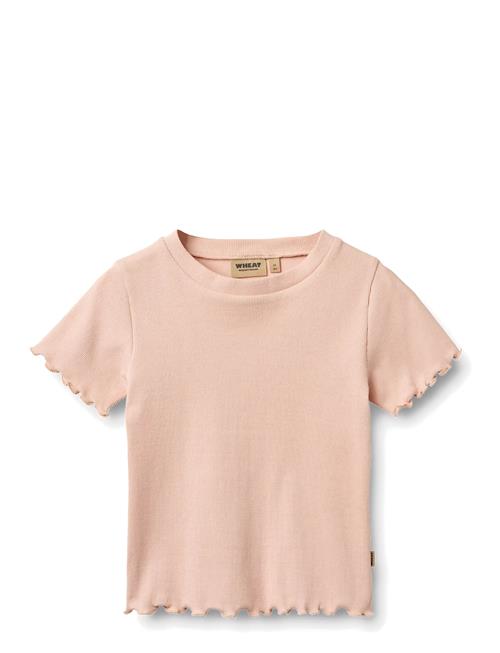 Wheat | Rib T-Shirt S/S Alicia | 140