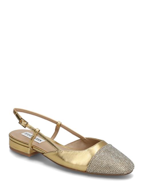 Steve Madden | Belinda-R Ballerina | 41
