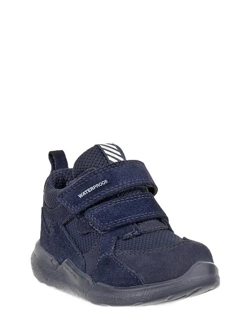 ECCO | Biom 2.2 Infant | 21