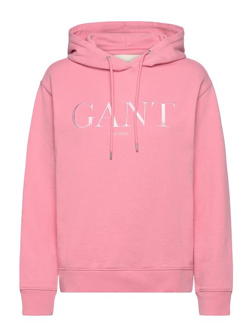 GANT | Tonal Graphic Hoodie | XS