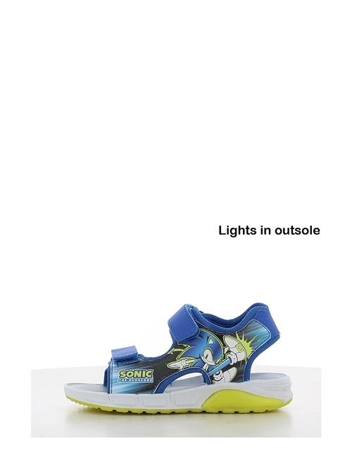 Leomil | Sonic Sandal | 30