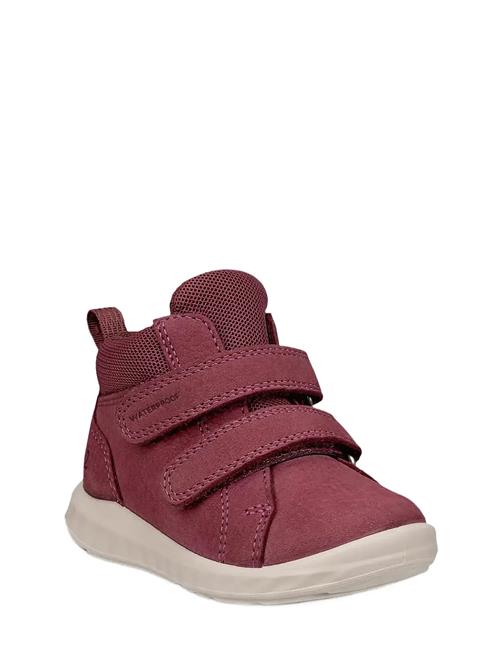 ECCO | Sp.1 Lite Infant | 21