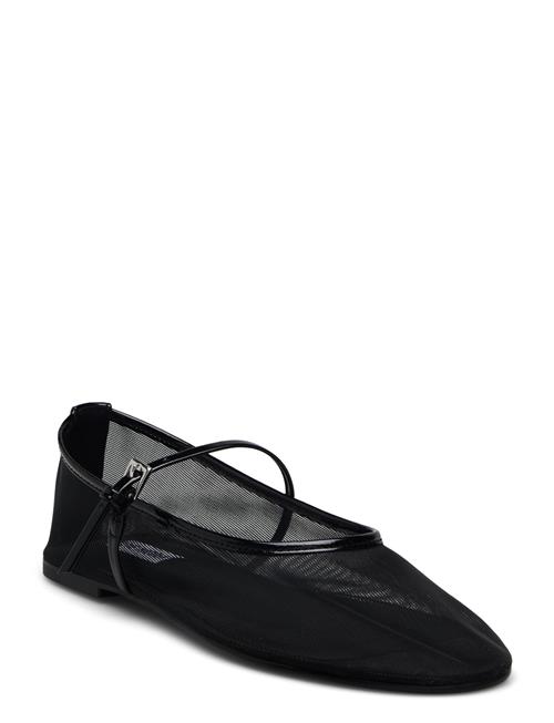 Steve Madden | Mash Balerina | 42