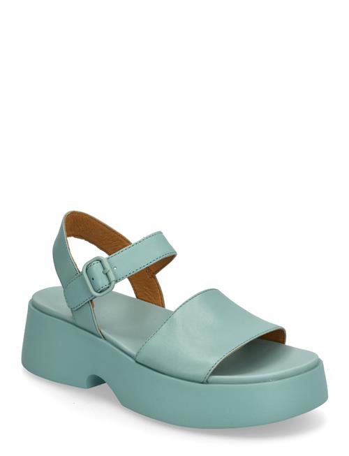 Camper | Tasha | 38