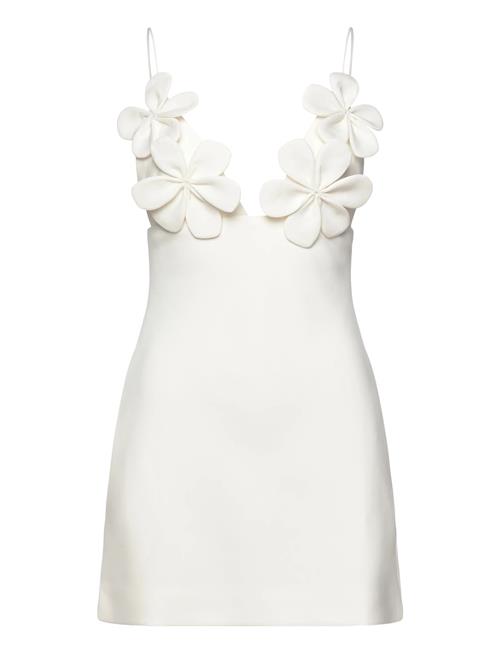 Bardot | Ingrid Flower Full Cup Dress | 34