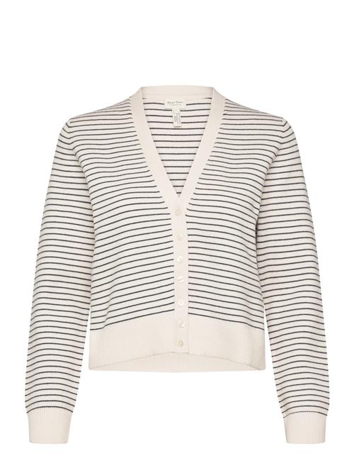 Part Two | Anessapw Ca | L