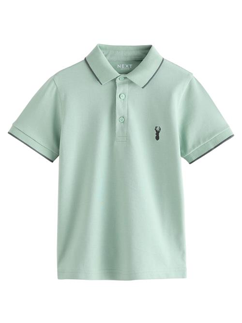 Next Shirts  mint