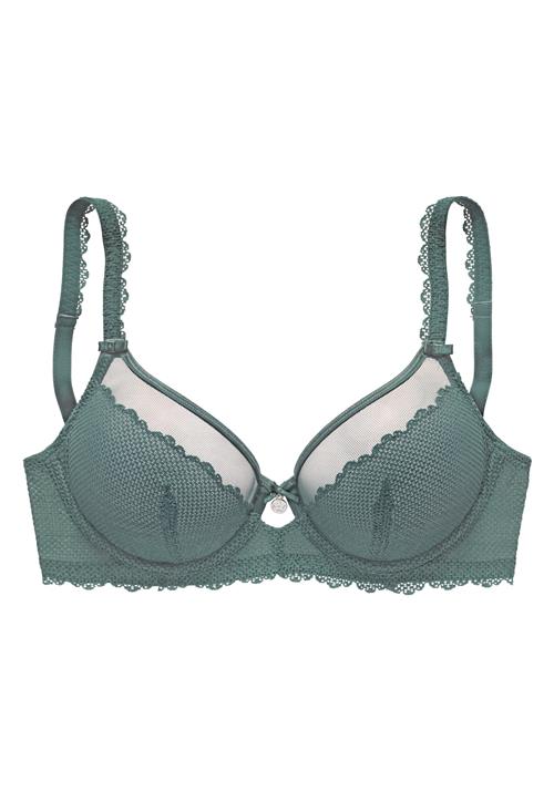 VIVANCE BH  khaki