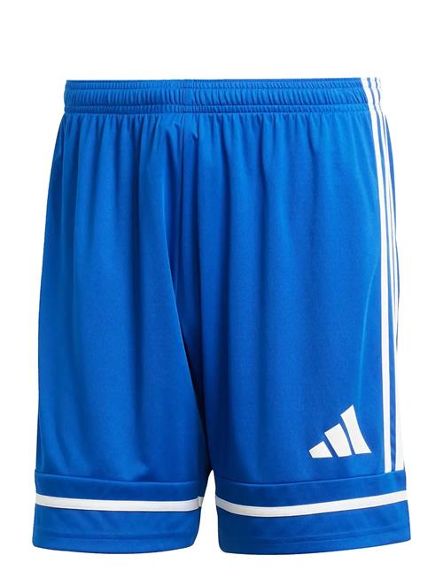 adidas Performance | Squa25 Sho M | L