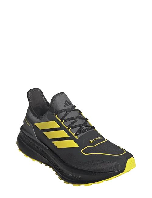 adidas Performance | Ultraboost 5 Gtx | 44