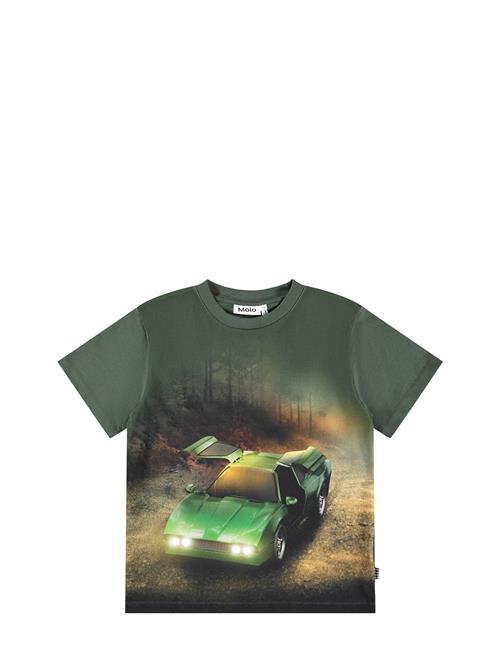 Molo | Riley | 152