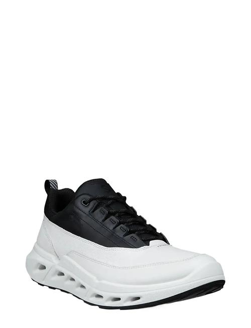 ECCO | Biom 720 M | 43