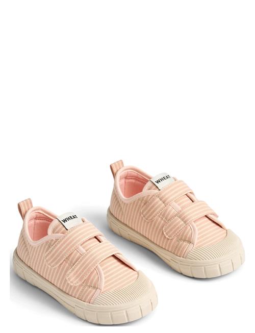 Wheat | Sneaker Bobbie | 28
