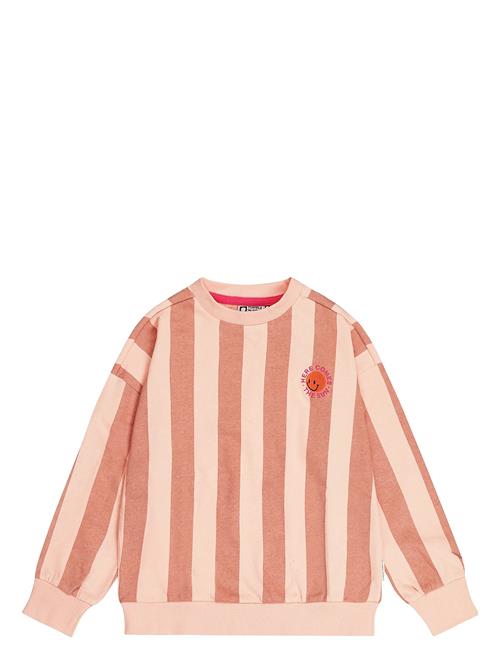 TUMBLE 'N DRY | Coquina Sweatshirt | 146/1
