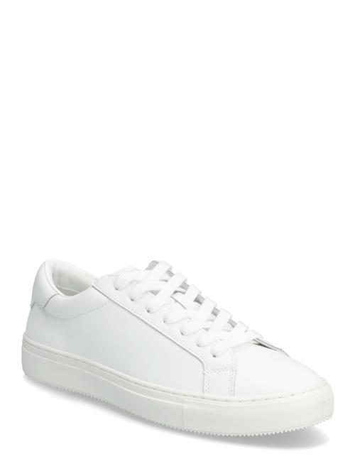 Matinique | Maeaton | 41