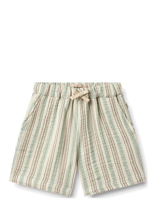 Wheat | Shorts Cuba | 116
