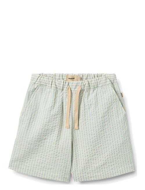 Wheat | Shorts Cuba | 140