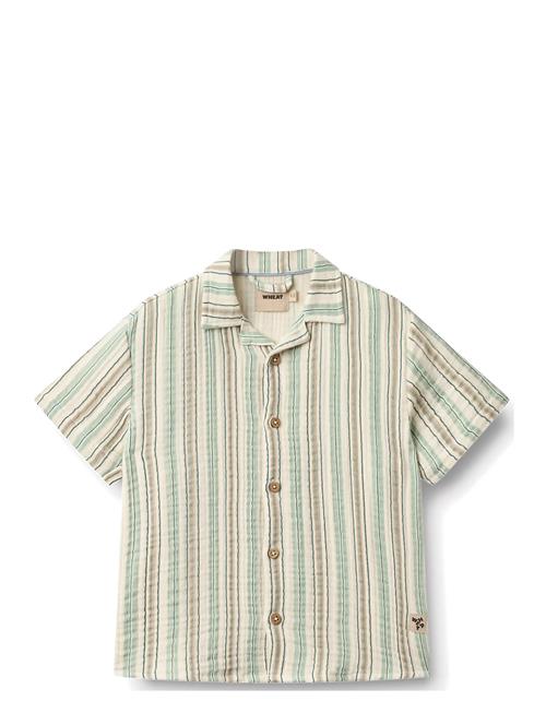 Wheat | Shirt S/S Anker | 104