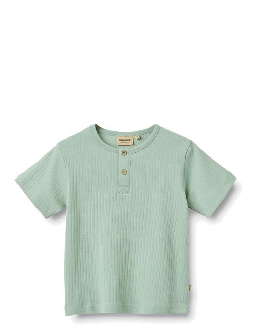 Wheat | T-Shirt S/S Lumi | 110