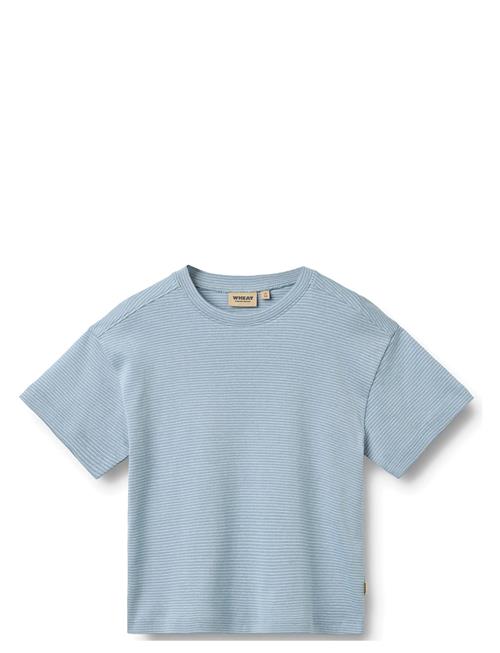 Wheat | T-Shirt S/S Tommy | 128