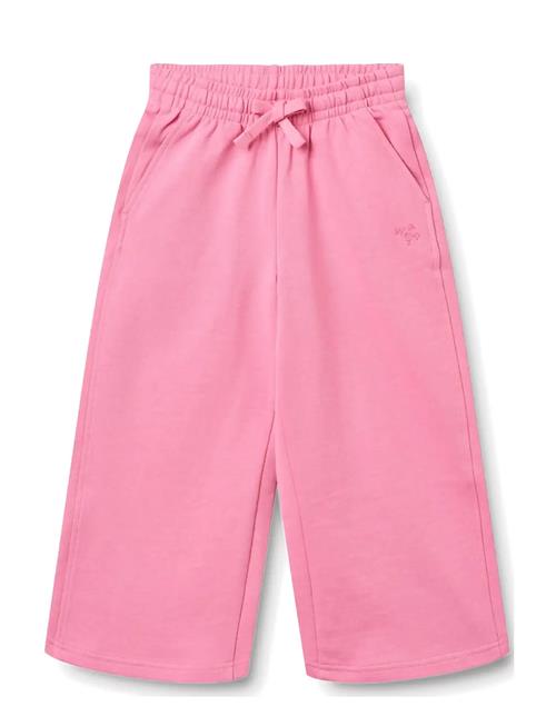 Wheat | Sweatpants Straight Cruz | 110