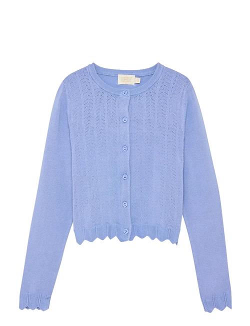 Creamie | Cardigan Pointelle | 98