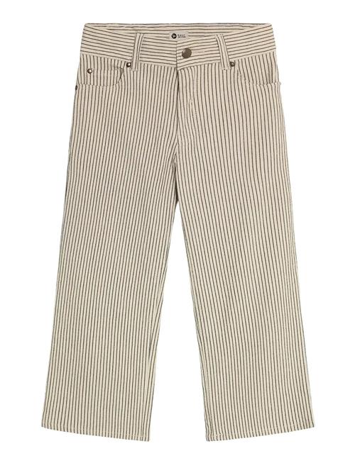 Daily 7 | Straight Fit Small Stripe | 110