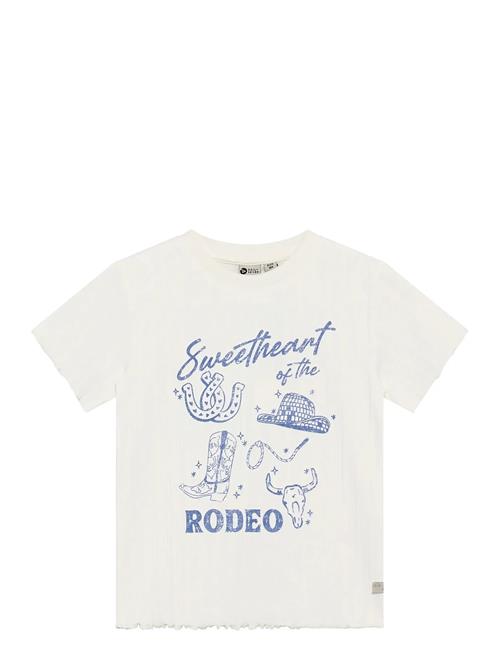 Daily 7 | T-Shirt Artwork | 116