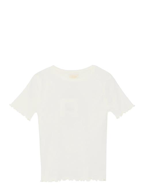 Creamie | T-Shirt Ss Modal | 122