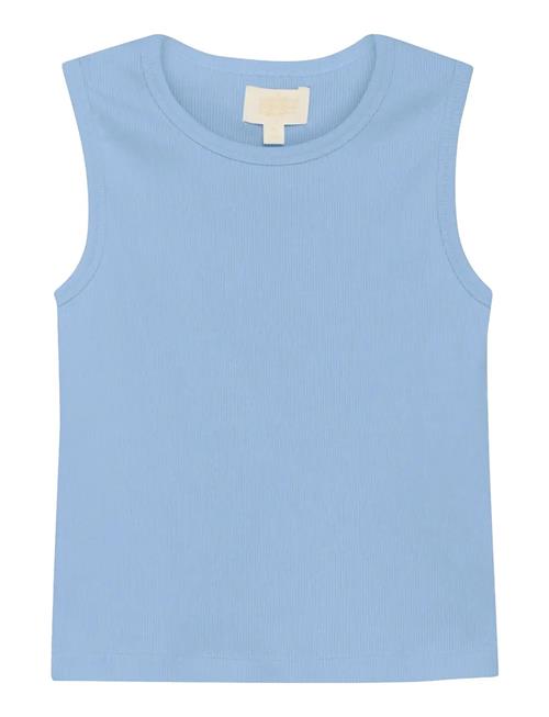 Creamie | Top Rib | 134