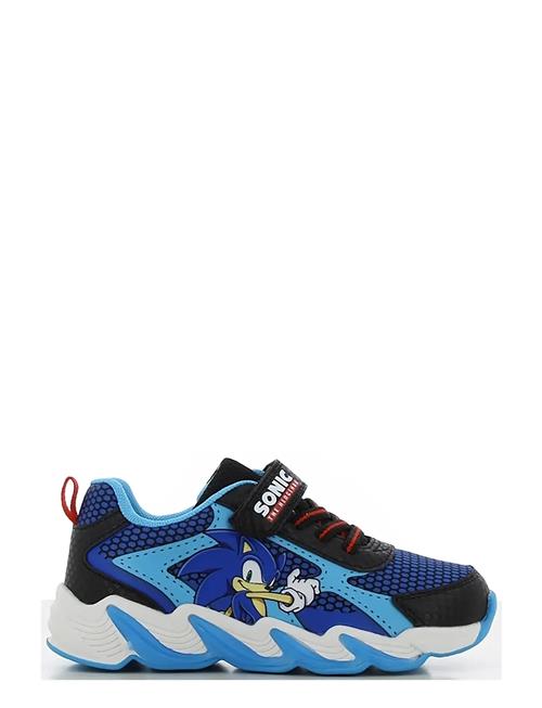 Leomil | Sonic Sneaker | 33