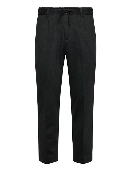 Scotch & Soda | Finch Yarndyed Jersey Regular Taperedfit Jogger | 29 x 32