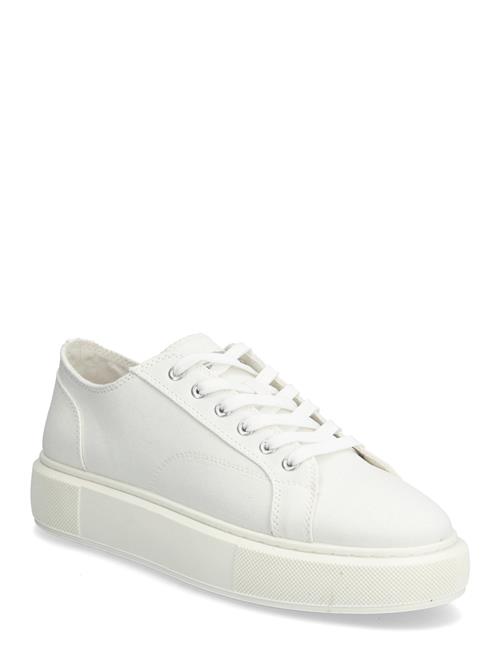 Jack & Jones | Jfwaspire Canvas Sneaker | 42