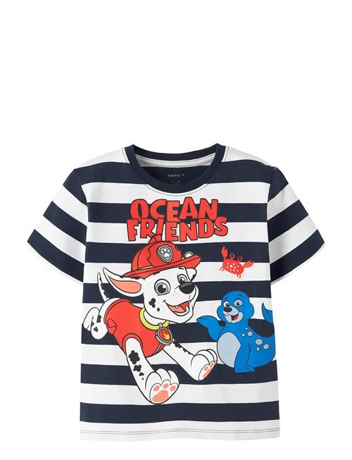 name it | Nmmmilan Paw Ss Nreg Top Box Cplg | 110