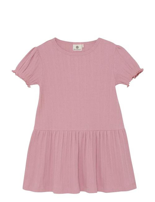 En Fant | Dress Ss Pointelle | 140