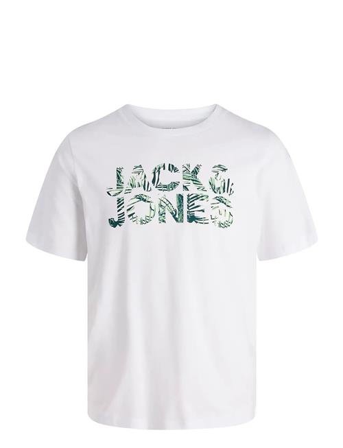 Jack & Jones | Jjejeff Logo Tee Ss Sn Jnr | 176