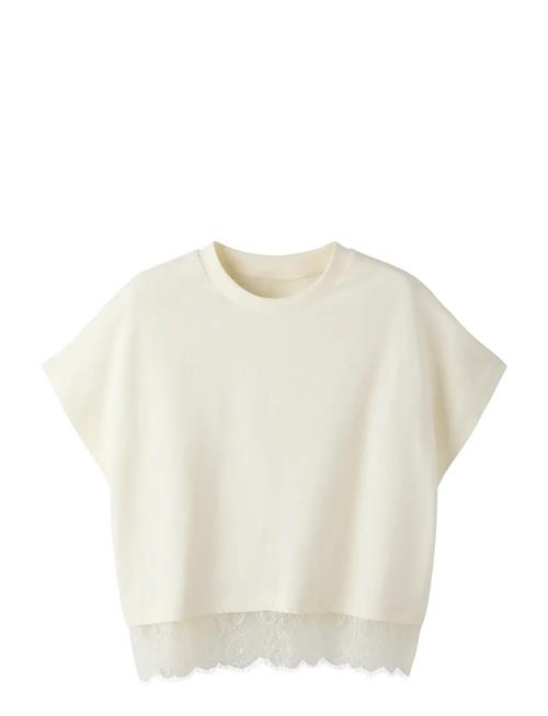 LMTD | Nlfbella Ss L Lace Top | 170-176