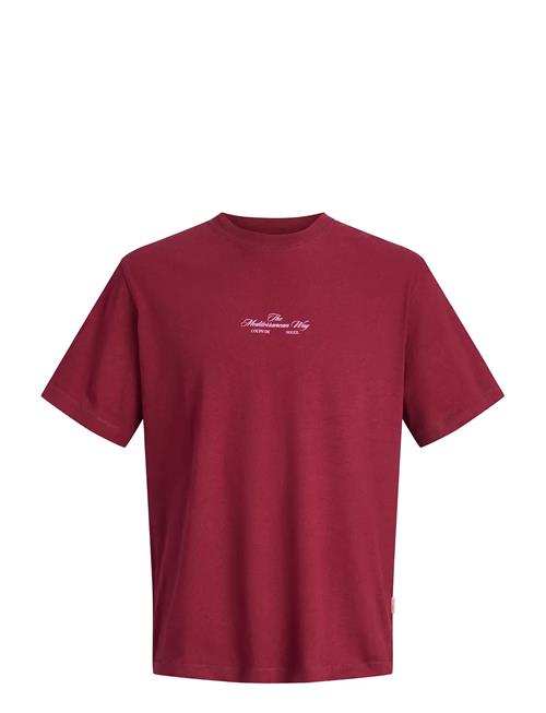 Jack & Jones | Jorcassis Photo Back Tee Ss Crew Neck | XS