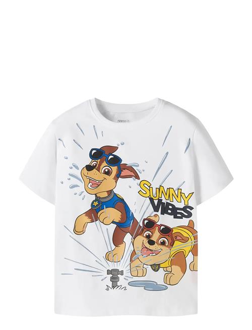 name it | Nmmmacas Paw Ss Nreg Top Cplg | 110