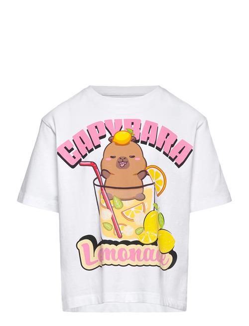 name it | Nkfabina Capybara Ss Nreg Top Lnoos Sky | 122-128