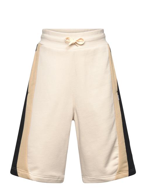 BOSS | Bermuda Shorts | 110