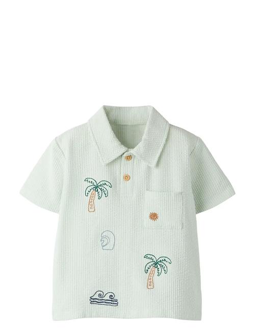 name it | Nmmjamka Ss Polo | 80