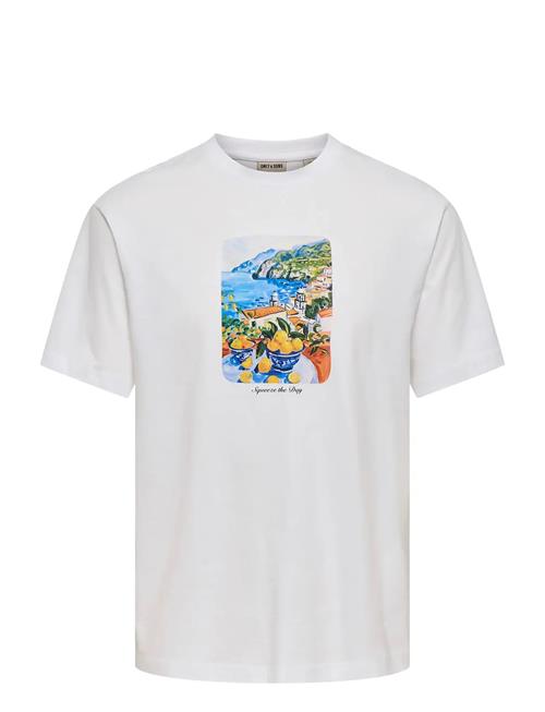 ONLY & SONS | Onsfred Painting Life Rlx Ss Tee | M