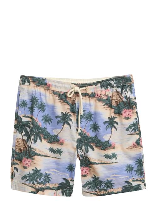 GANT | Reg Printed Ds Shorts | L