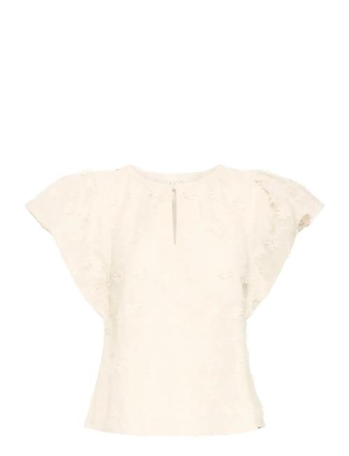 Atelier Rêve | Irliane Ss | 42