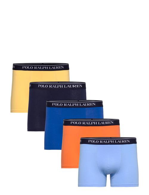 Polo Ralph Lauren | Bci Cotton/Elastane-5Pk-Trn | S