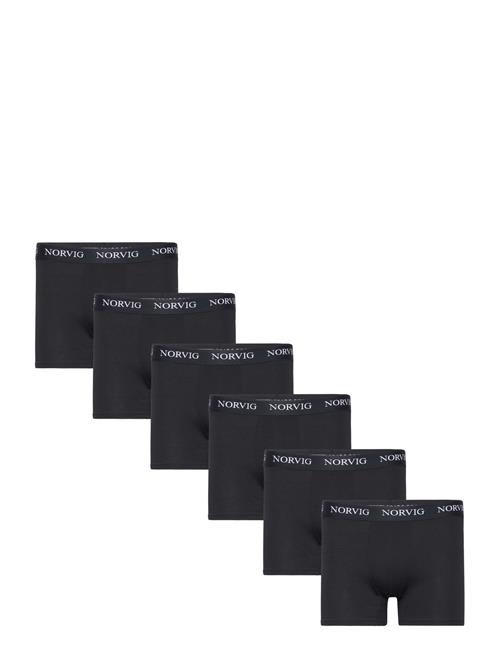 NORVIG | 6-Pack Mens Tights | XL